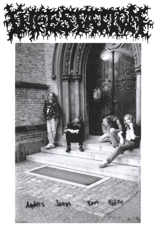 https://i.postimg.cc/Hs8cDvt0/Infestation-Sw-eden-Band-photo.jpg