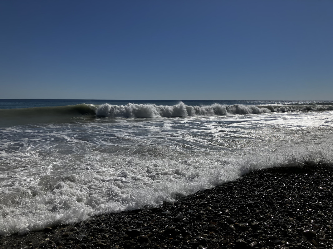 IMG-1868.jpg