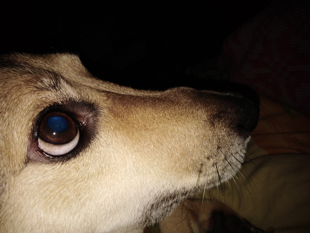 CFA0612E-A992-4ECE-95B3-B055591638FE