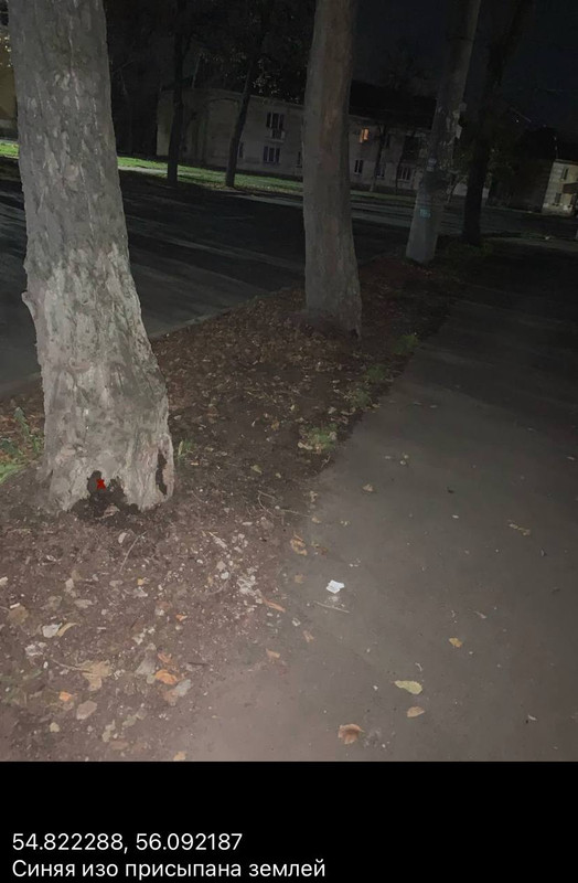 photo_2025-10-06_03-06-51