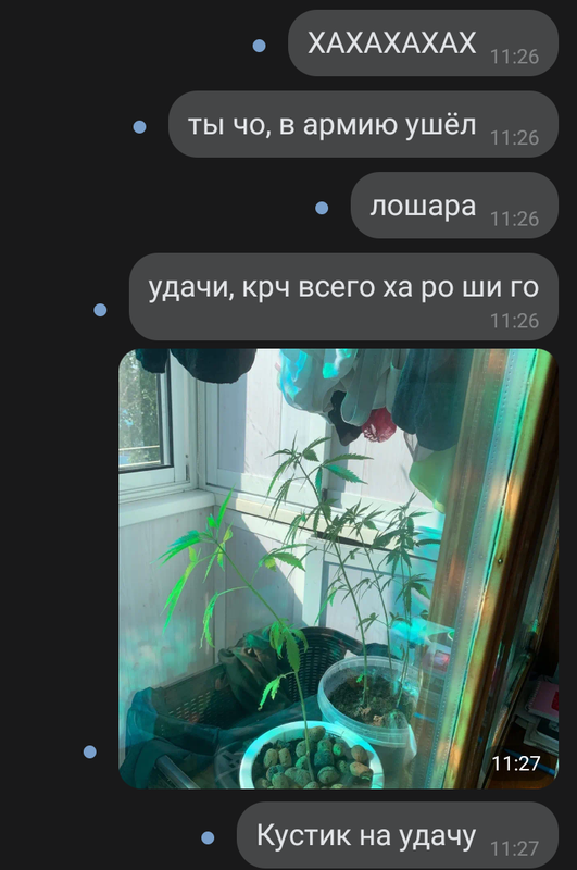 Screenshot-20220702-112718.png