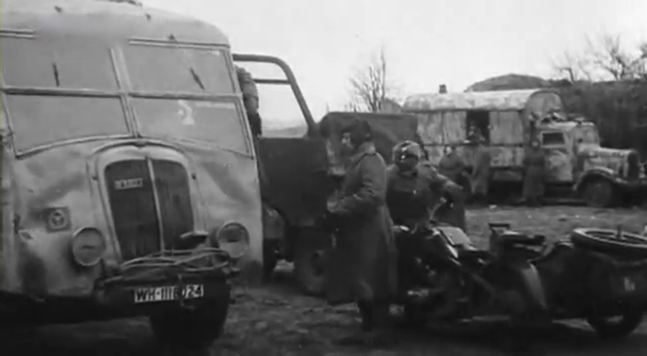 Под Гомелем_8418806