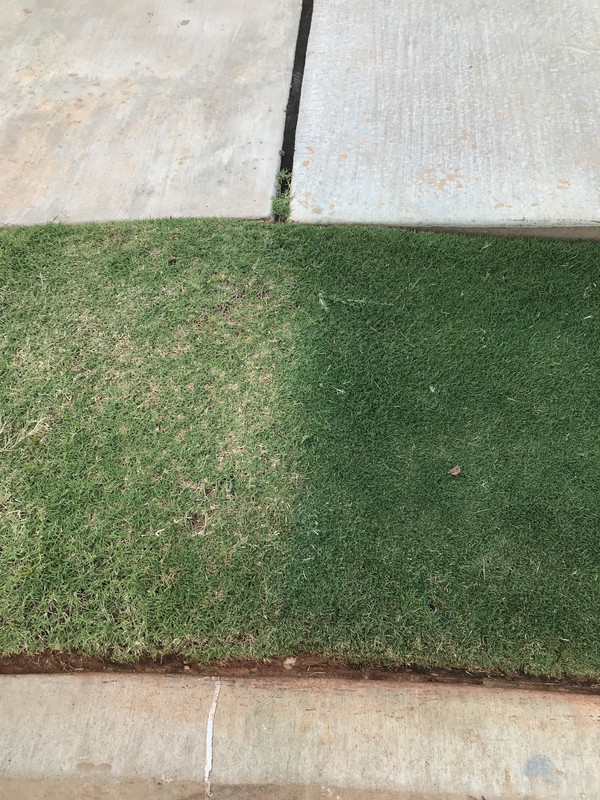 1BD5BEE5-9C0C-49F0-A1D1-97AD626A61FF