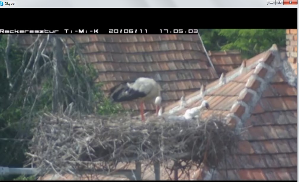 2020-06-11_171024hát ez nem semmi