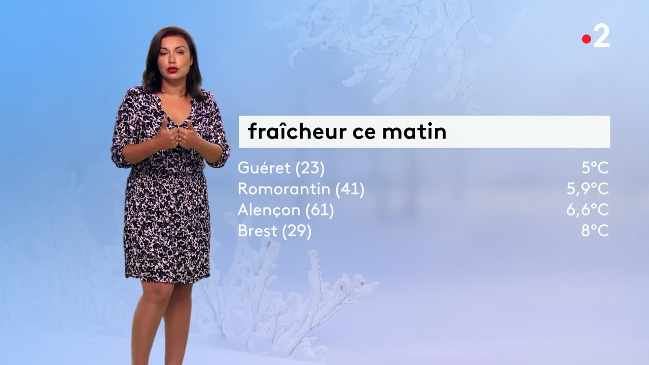 2020-08-04_12_55_Fr2_Meteo.mp4_snapshot_04.57.623