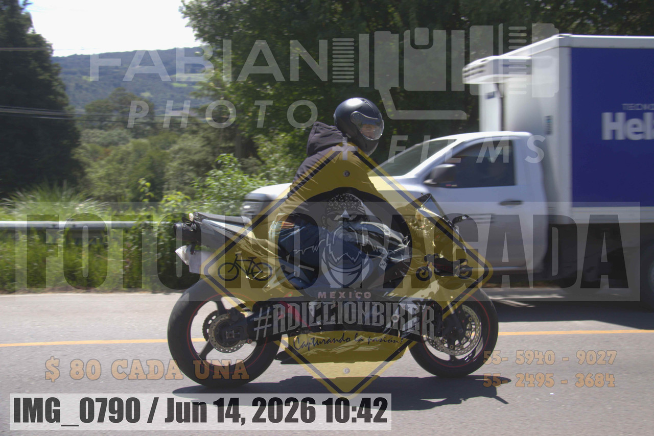 IMG 0790