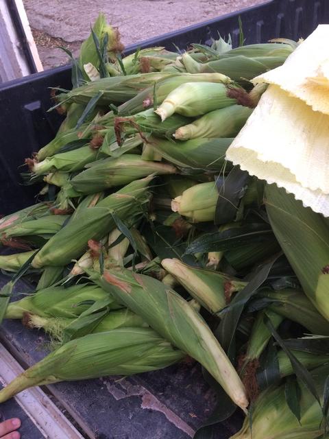 C3DFFE21-640E-4FD3-9FEE-4B6DD5E8C1B1