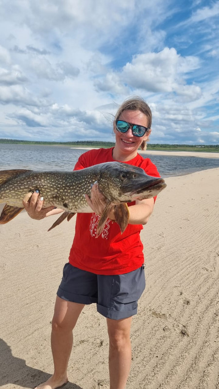 51c0ae21-8d84-44c7-973a-32a64a22971f