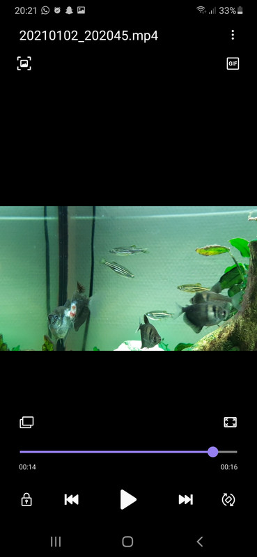 Screenshot_20210102-202117_Video Player