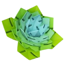 Toggle Image