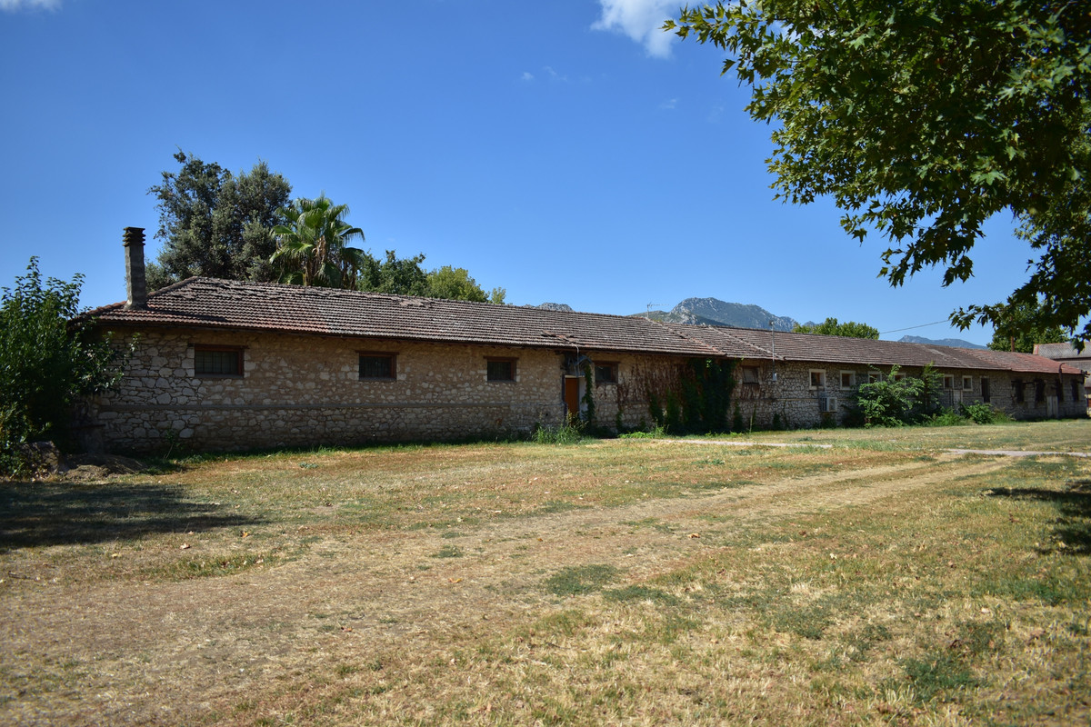 Αλίαρτος (18)