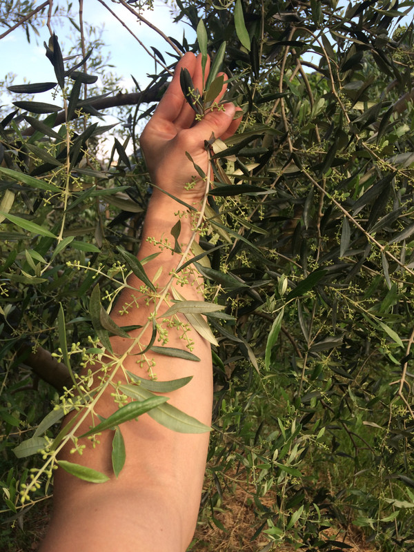 81361690-3BDB-402E-9BF1-C0AD854CDCB8