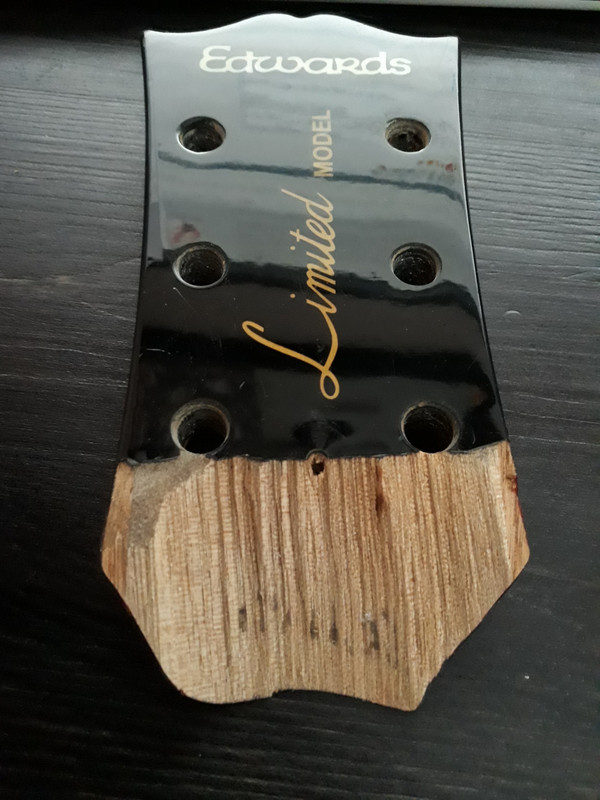 20180205_160619_resized