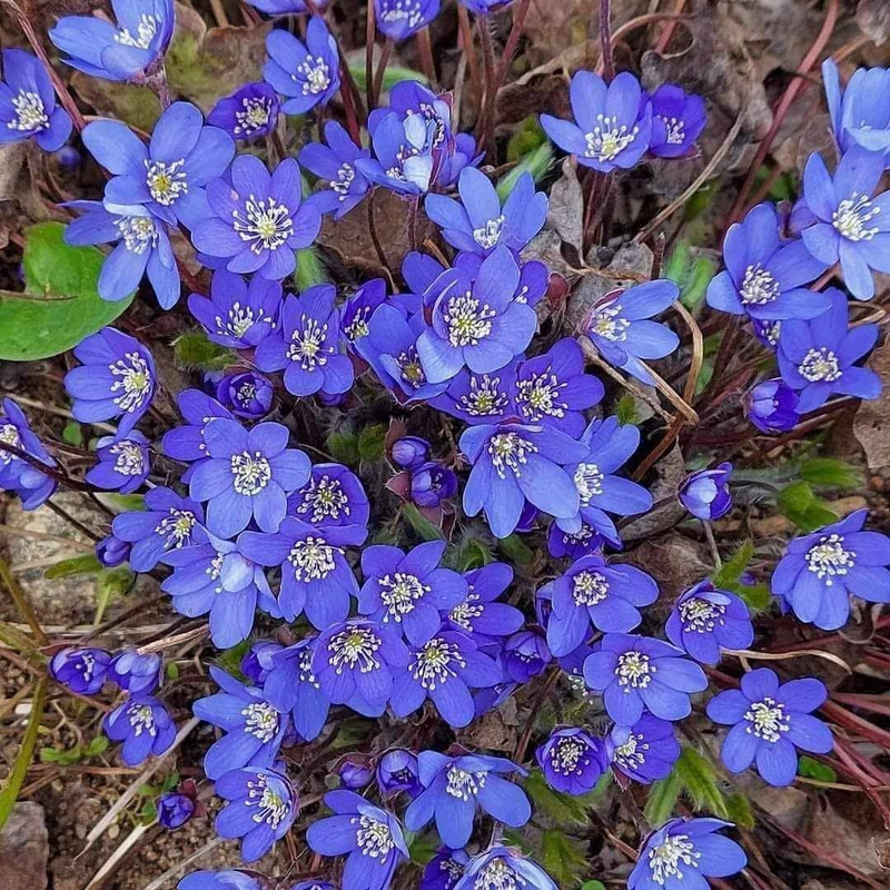 656079443-1860211488025390-1409216390823560401-n