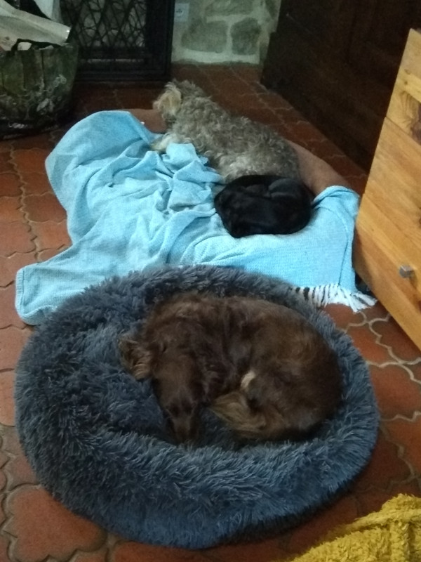 [Image: IMG-20210101-154651.jpg]