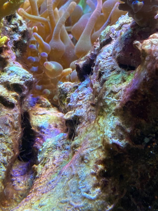 D2E7137A-D9B7-4323-9F74-81A9570B342D