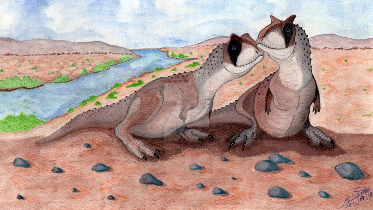 d46de4bf74cee8f5251af95750c04d3d