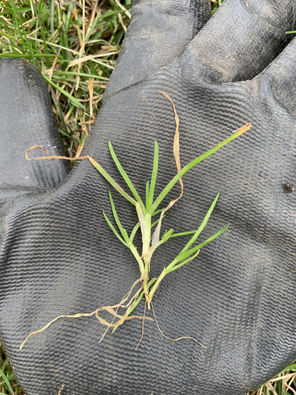 53B6DD00-AE1D-42F5-AD01-13DE2C853849