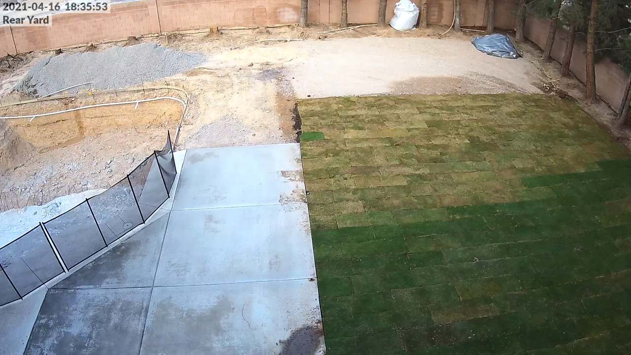 Rear Yard - 4-19-2021, 6.45.07pm