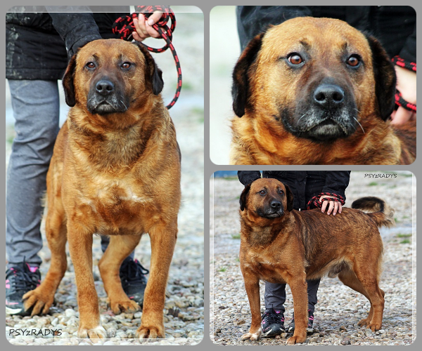 BeFunky-collage (17)