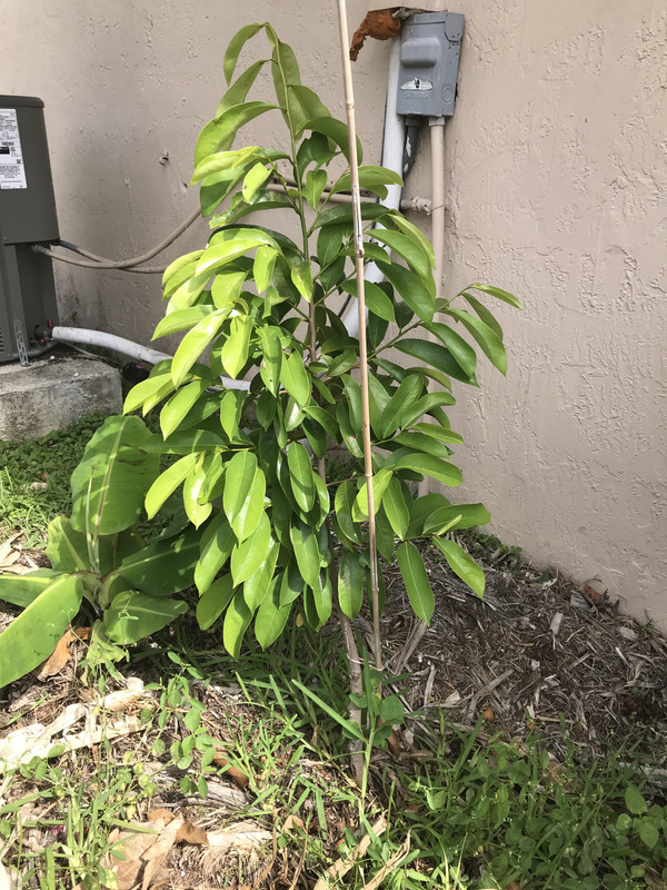 17013BF9-D3E8-4F3F-85C8-CFEA2348F16E