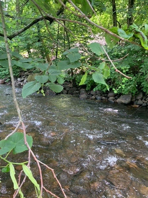 Stream 2 - Memorial day 5-27-24