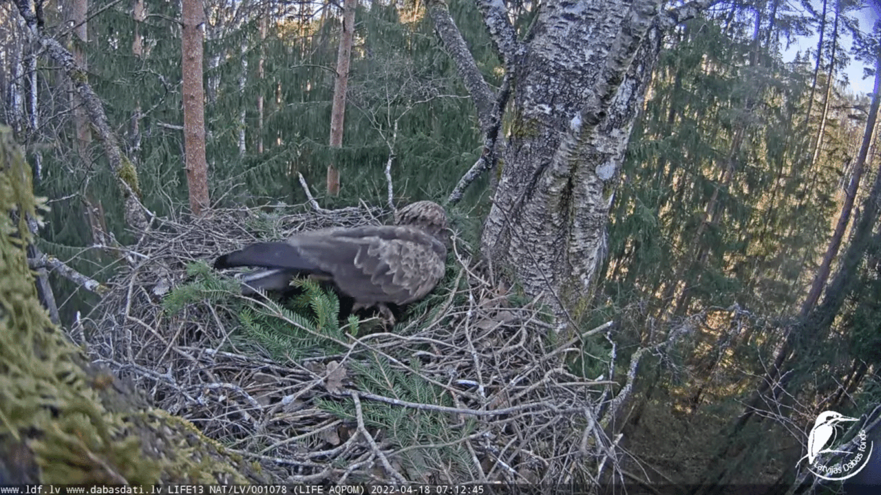 Webp.net-gifmaker (3)