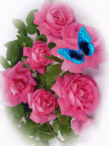 [Image: 25cf0ece4c496be1866dd13b5b4e0976.gif]
