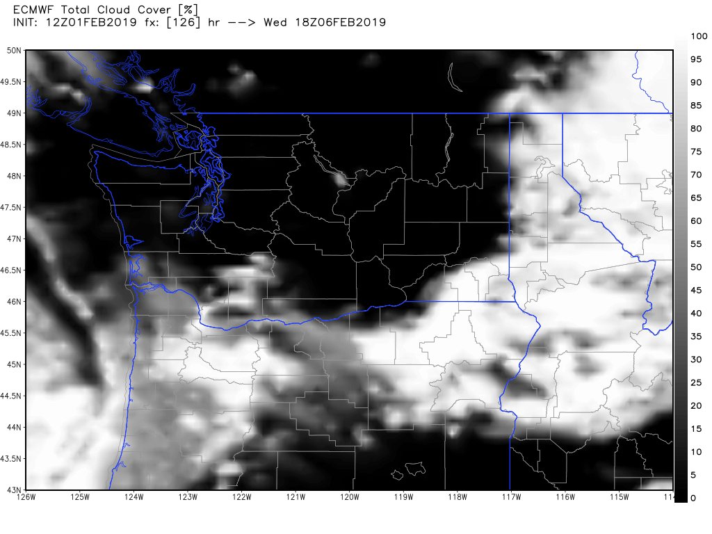 ecmwf-tcloud-washington-22.png