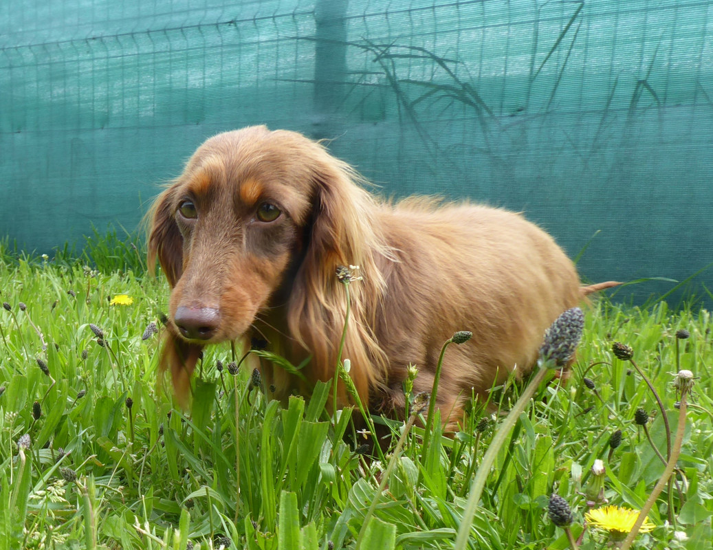 [Image: P1020678.jpg]