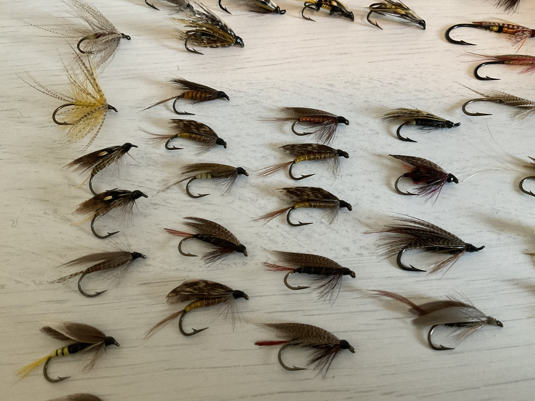 CFCC3A2D-1186-4A5E-9D73-F755A4D42FA5