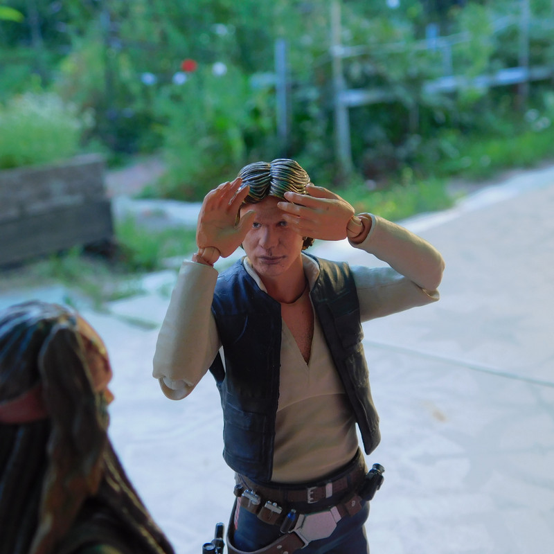 Весенняя московская ночь, дача Харли н ачало 2025 113