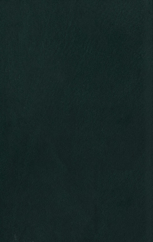 p0818