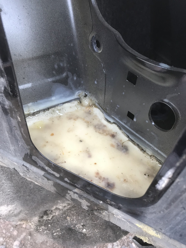 C52F6782-981F-443C-BDD0-160888F0570B