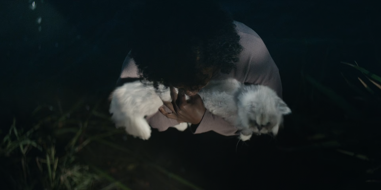 Kindred.S01e01.1080P.Dsnp.Web-Dl.Ddp5.1.H.264-Playweb.mkv_snapshot_32.53.472