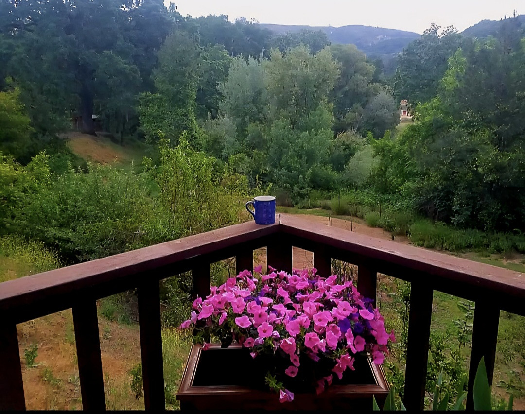 Screenshot 20260220 185404 Gallery