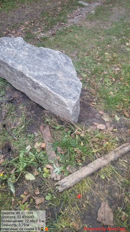 photo 20 2025 11 17 12 12 49