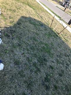 FFC439FA-0518-4723-979A-CEF835D29FC2