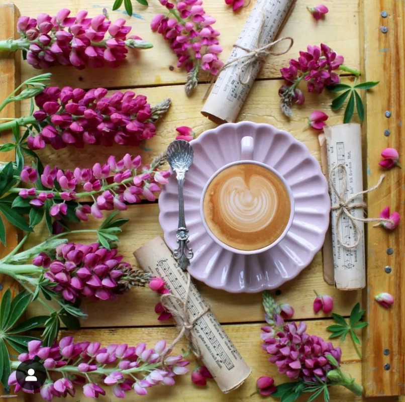 Screenshot_20231210_164514_Instagram