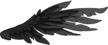 decorative crow wing