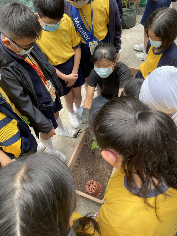 photo-littlefarmer2223-4A-002