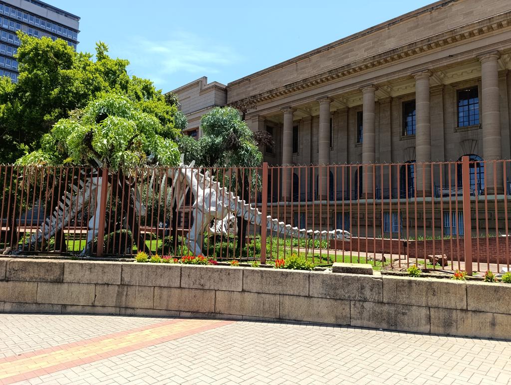 Такая близкая Африка. (ЮАР. 22 дня и 4200 км. Ноябрь-Декабрь)