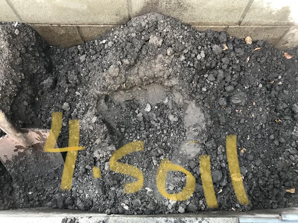 CC06BC5C-D37C-42E5-AD1C-05C0F4CEE372