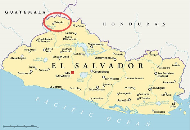 metapan.jpg