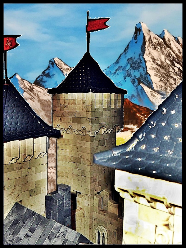 11970749_48383981-523074971505397-7861741222178586624-o (10)