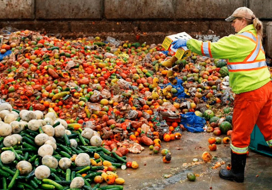 El desperdicio de alimentos provoca pérdidas de 400 mil mdd a nivel mundial