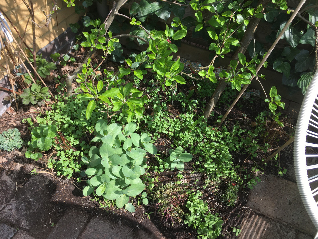 A3D76A66-A17E-428B-8D38-7E893726CE1D