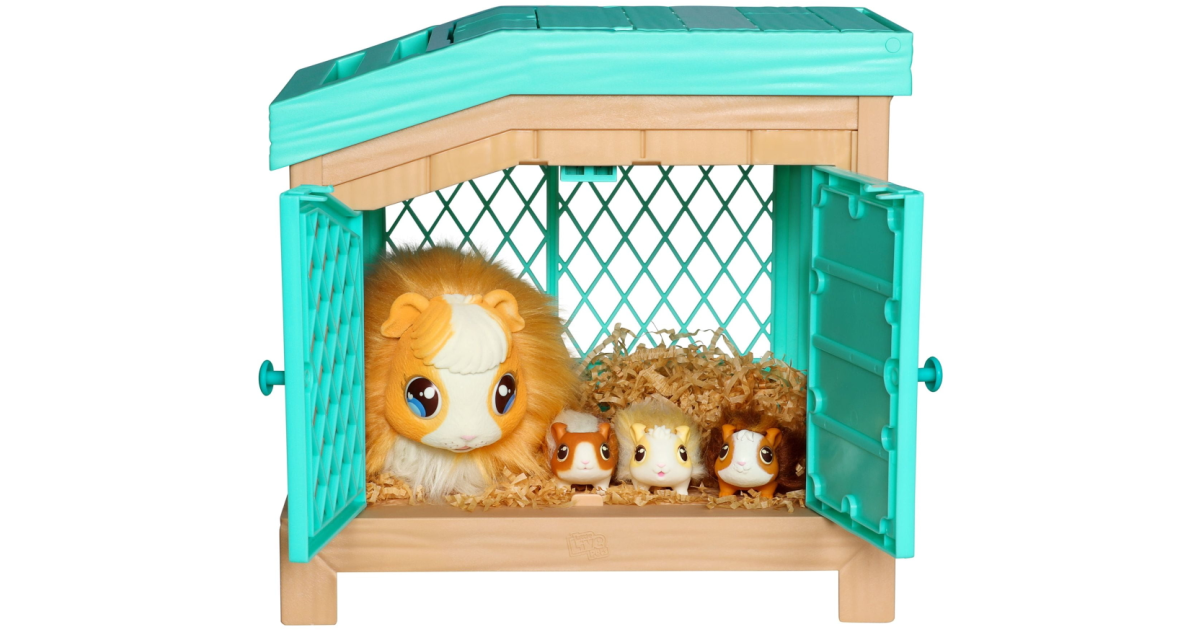 Bring Home the Fun with Little Live Pets Mama Guinea Pig Bring Home the Fun with Little Live Pets Mama Guinea Pig