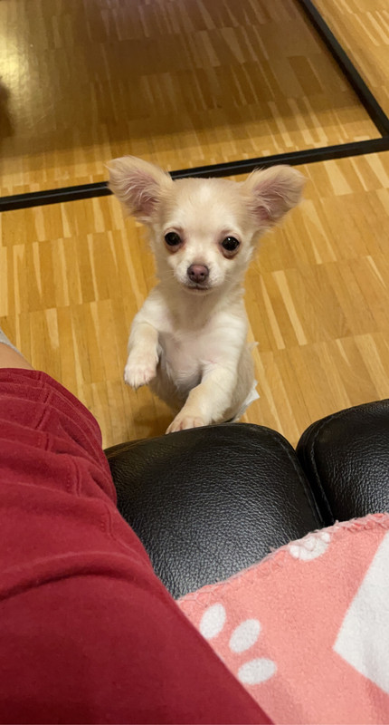 FDDB6253-F983-4161-8A71-CB0201E3485D