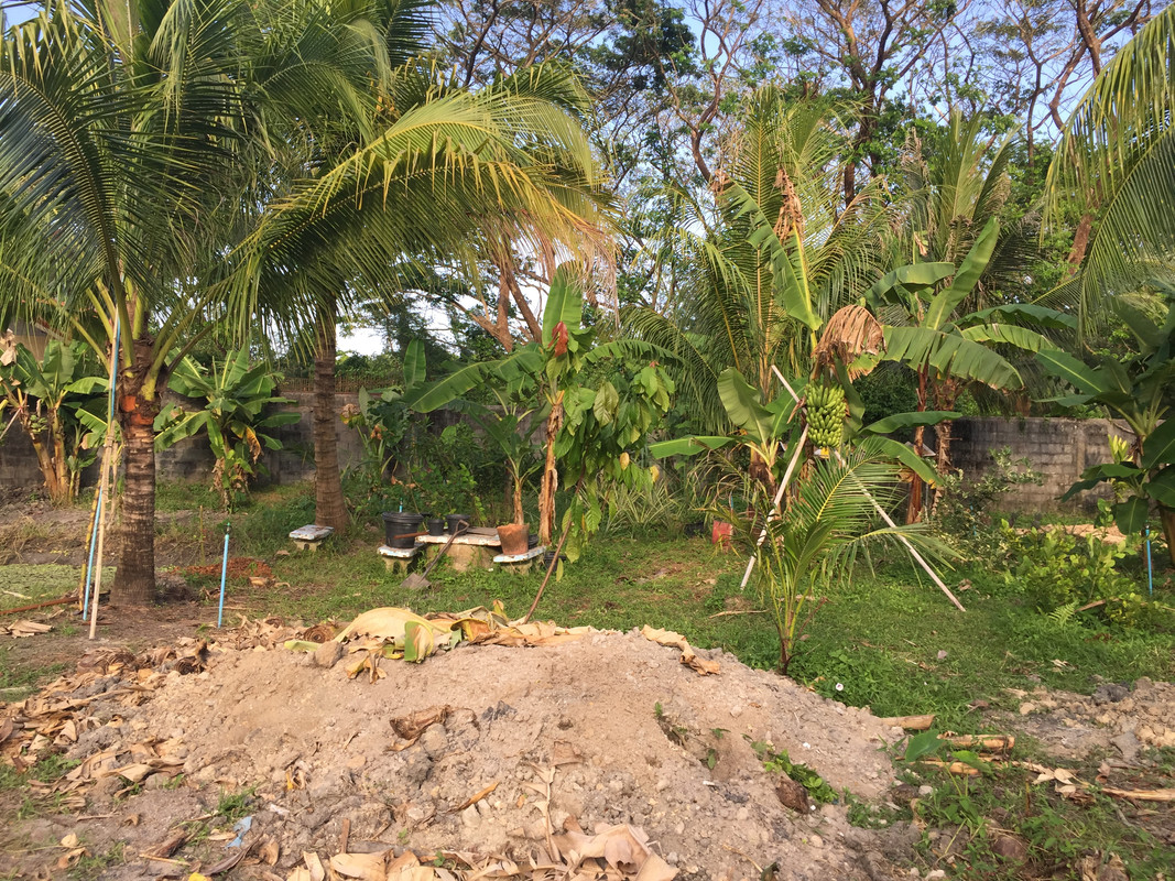 IMG 1411 — Postimages
